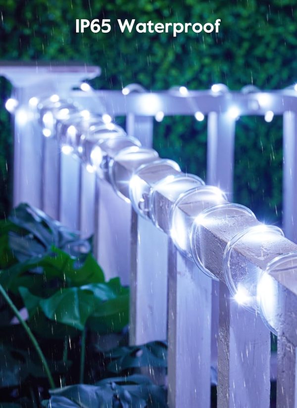 Solar Rope Lights, IP65 Waterproof 39FT 100LED Outdoor Solar String Lights Solar Powered Fairy Lights with 8 Lighting Modes for Party Garden Yard Home Holiday Tree Decoration, Pure White - Image 2